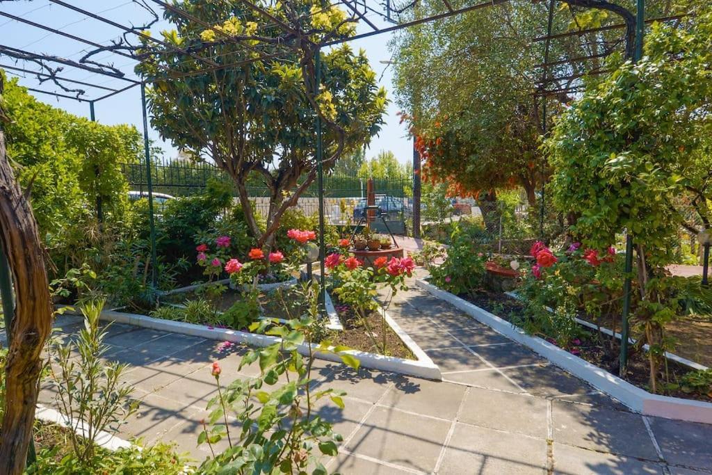 The Red House In Dassia מראה חיצוני תמונה