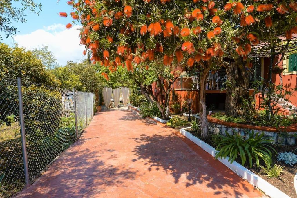 The Red House In Dassia מראה חיצוני תמונה